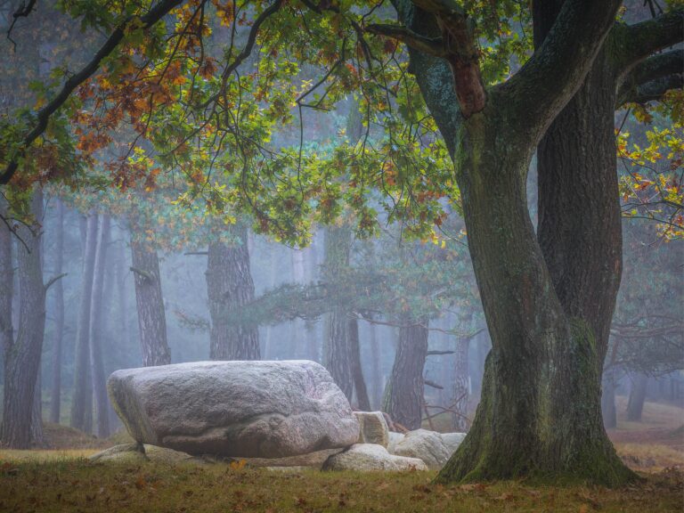 Hunebed
